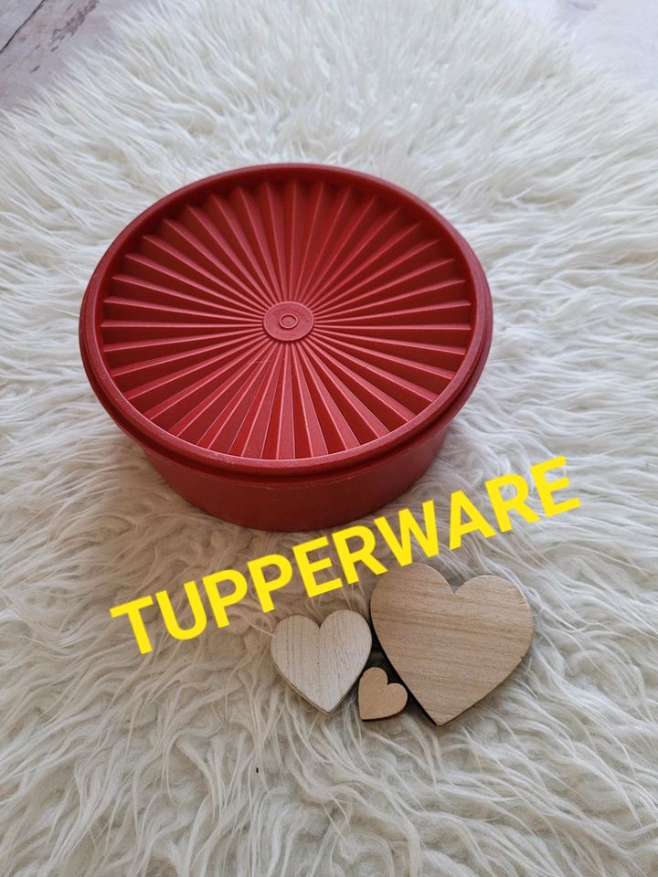 TUPPERWARE ⭐ Keksdose Servalier Box Deckel Sofortversiegelung rot in Floß