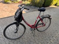 Pegasus Damen Fahrrad Nordrhein-Westfalen - Erkrath Vorschau