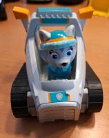 Paw Patrol Kr. München - Schäftlarn Vorschau