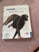Hunde in Bewegung Bayern - Hallbergmoos Vorschau