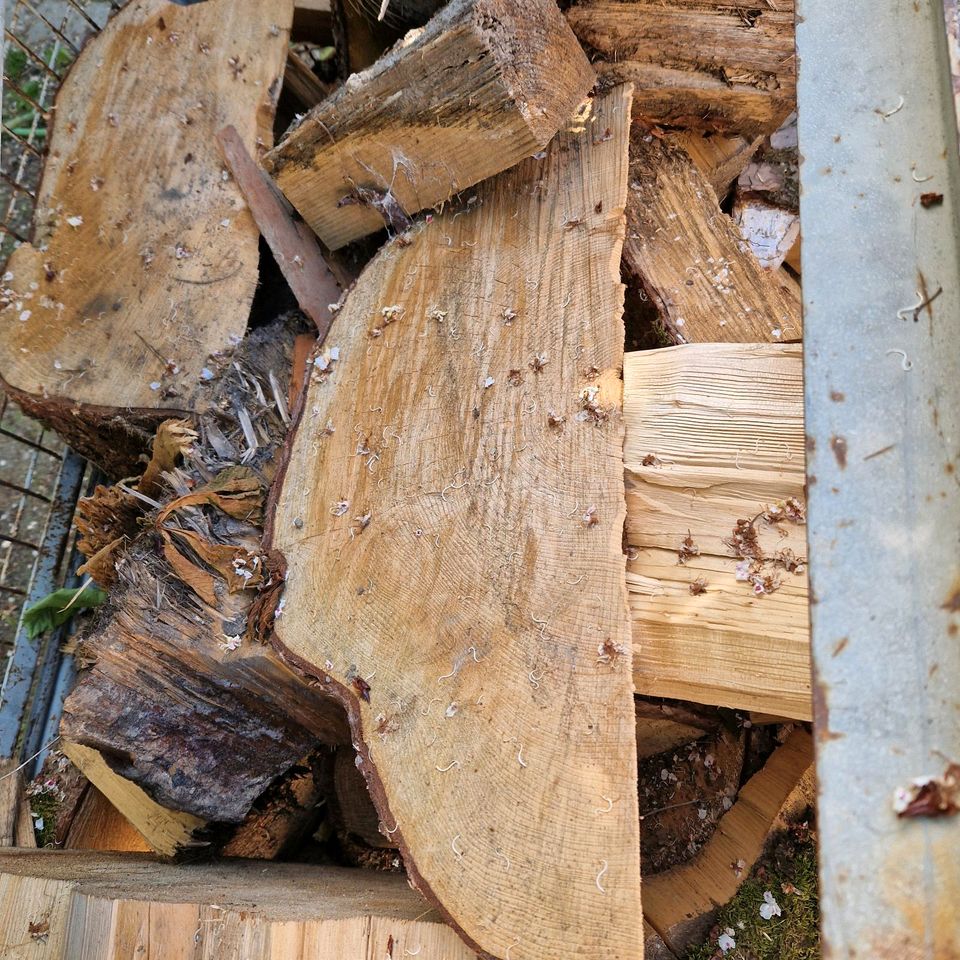 Holzabschitte, Baumscheiben, Brennholz Fichte in Affing