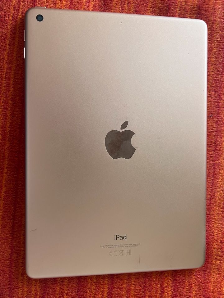 iPad 9.7 (2017) in Biberach an der Riß