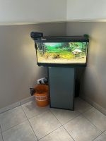 Aquarium 60cm mal 30cm mal 30cm Schleswig-Holstein - Brokdorf Vorschau