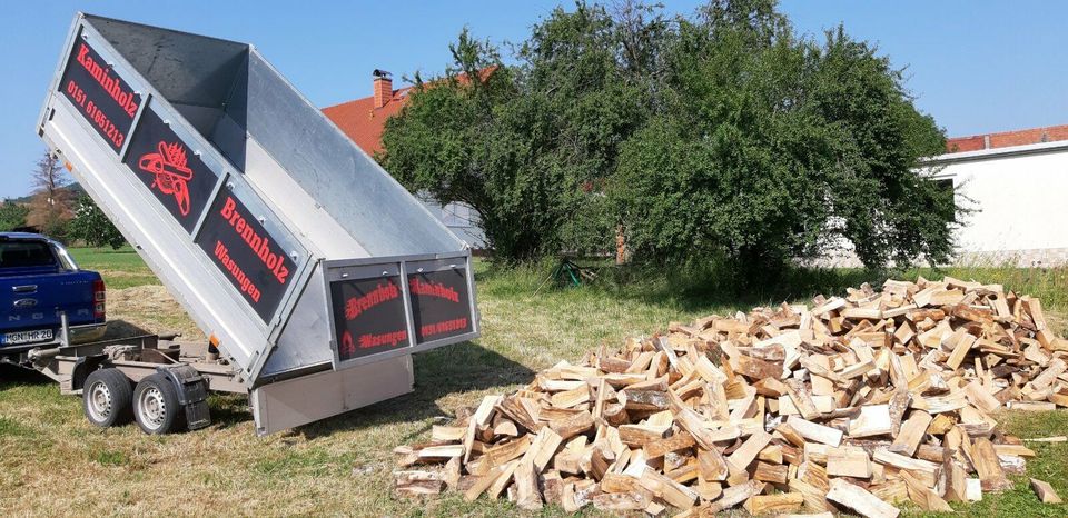 7 Srm Brennholz Kaminholz Buche   inkl.Lieferung in Schmalkalden