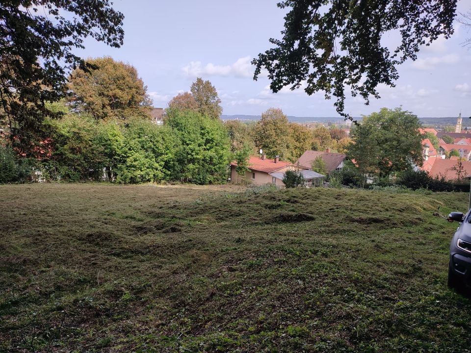 Mähen | Mulchen | Obstwiese | Bauplatz | Böschung in Baisweil