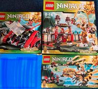 LEGO Ninjago 70503 70504 70505 Coles Tempel Licht Baden-Württemberg - Ellwangen (Jagst) Vorschau