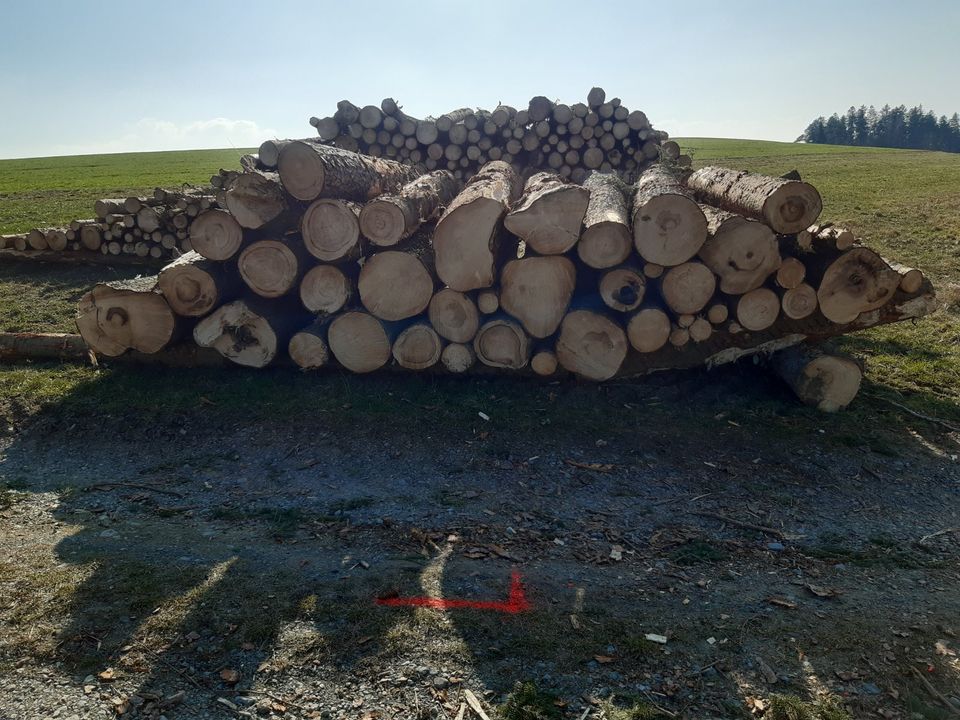 Brennholz Kaminholz zur Selbstabholung in Elsterberg