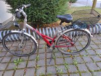 Damen Fahrrad 28 Zoll Bayern - Ingolstadt Vorschau