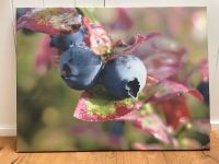 Kunstdruck „Reife Heidelbeeren“ 60x80 Rheinland-Pfalz - Weyher in der Pfalz Vorschau