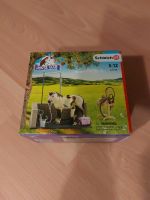 Schleich horse club 42104 Sachsen - Chemnitz Vorschau