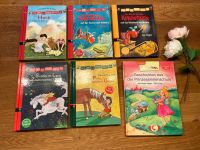 Buch lesen lernen Prinzessin Pony Heidi Drache Kokosnuss ❤️ Nordrhein-Westfalen - Vlotho Vorschau