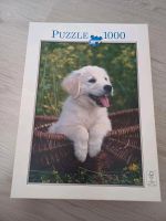 Puzzle Golden Retriever Welpe Nordrhein-Westfalen - Emsdetten Vorschau