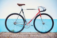 Schauff Bahnrad Fixie Fixedgear 56cm Wandsbek - Hamburg Farmsen-Berne Vorschau