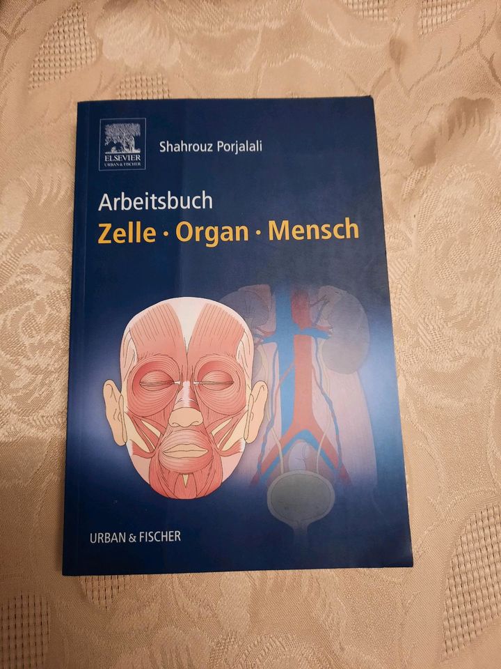 Arbeitsbuch - Zelle, Organ, Mensch in Berlin