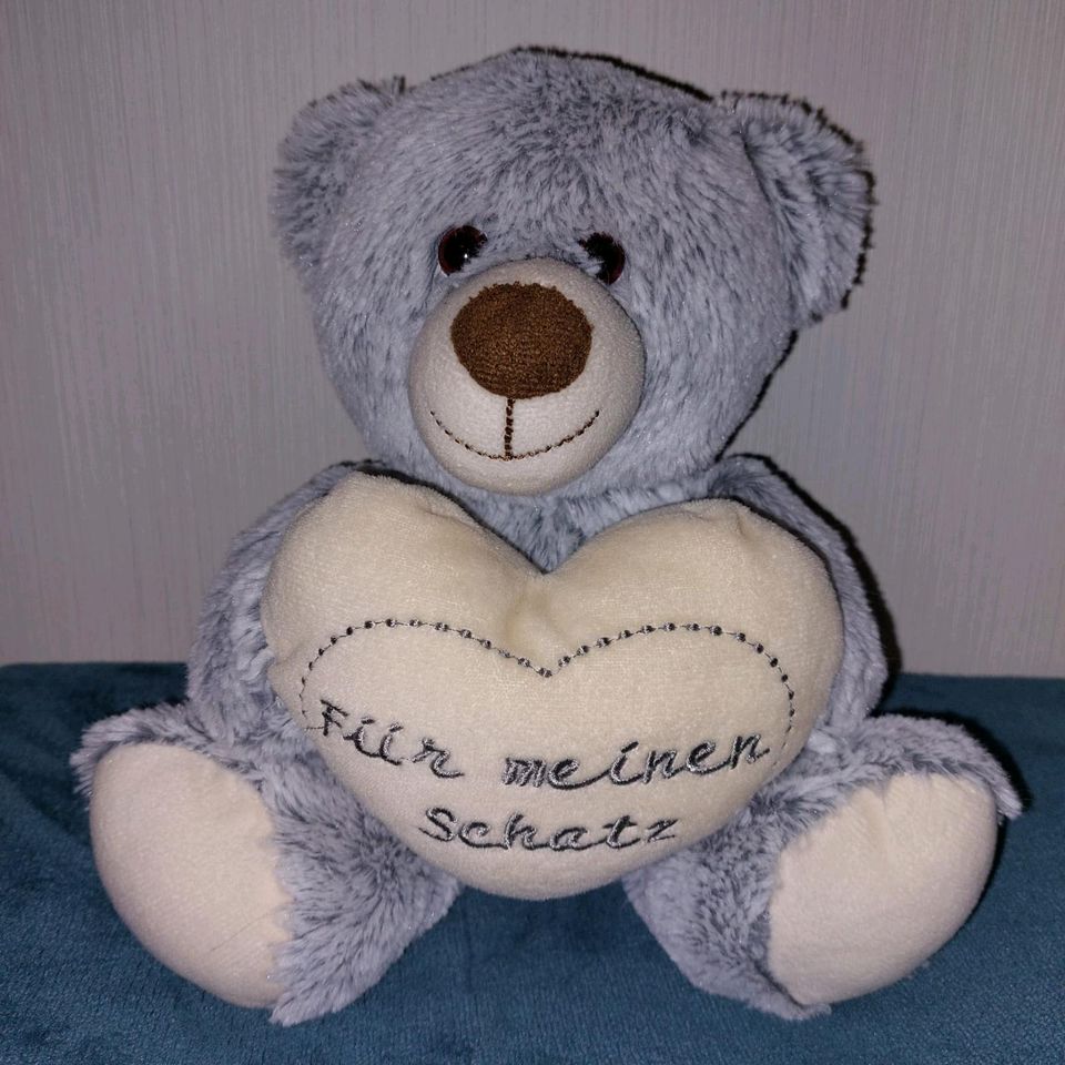 Valentinstag Teddybär "Für meinen Schatz" grau kuschelig in Hamburg