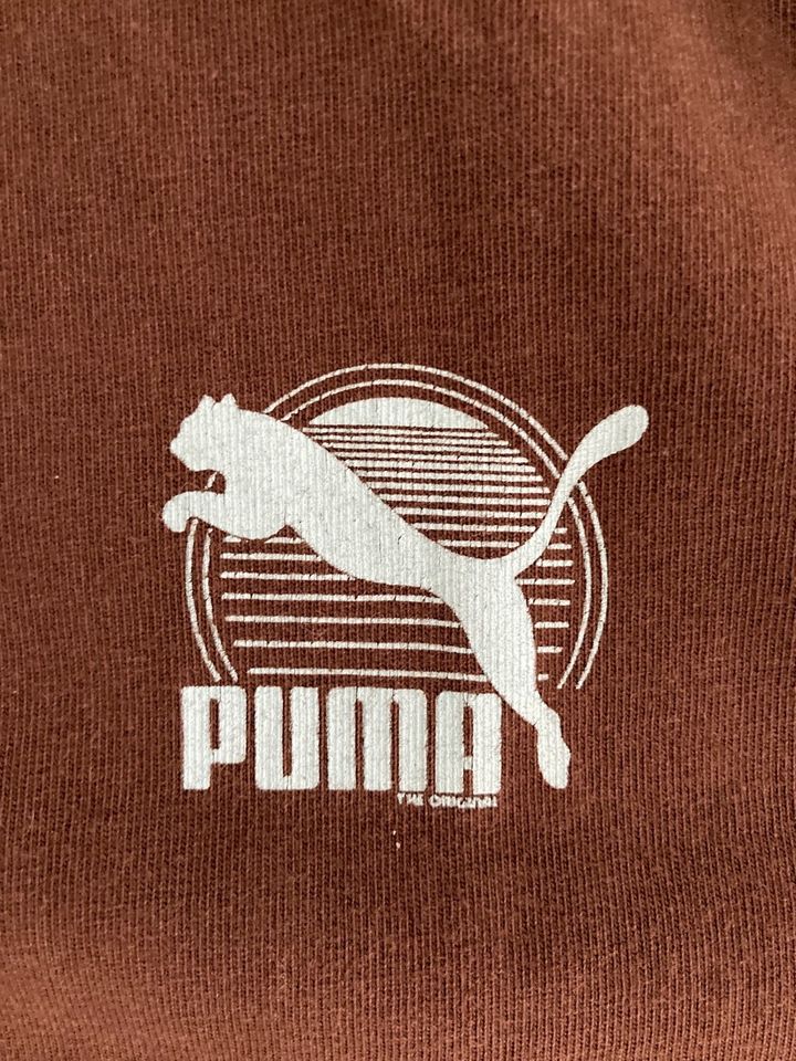 Puma Poloshirt XL in Goldenbow