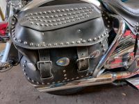 Packtaschen von Harley Davidson Hertiage Softail mit Chrombügel Niedersachsen - Wedemark Vorschau