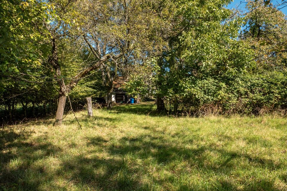 Haus in Alleinlage mit riesigem Traum-Grundstück in Gersheim