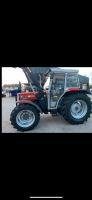 Suche Massey Ferguson 375, 362, 363, 374, 274 Baden-Württemberg - Rastatt Vorschau