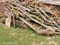 Suche brennholz zum seber machen, Bäme zu fällen Nachlese im Wald Rheinland-Pfalz - Brachtendorf Vorschau