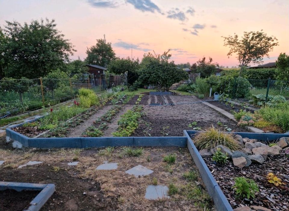 Garten abzugeben 310 qm mit Hütte in Grimma