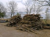 Brennholz / Lagerfeuerholz Niedersachsen - Butjadingen Vorschau