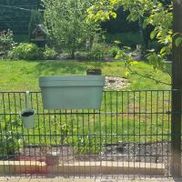 Balkon Blumenkästen Blumenkübel Niedersachsen - Ostrhauderfehn Vorschau