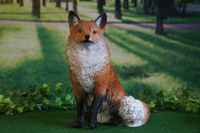 Tierfigur Fuchs sitzend lebensecht Skulptur Deko Gartendeko Schleswig-Holstein - Harrislee Vorschau