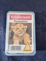 Kartenspiel kinderwelt  Katzen Tierbabies Quartett Hessen - Edermünde Vorschau
