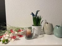 alles für das Haus, Vasen, Blumen Stuttgart - Stuttgart-Ost Vorschau