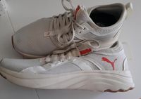 Puma Turnschuhe Softride Gr. 39 Leipzig - Dölitz-Dösen Vorschau