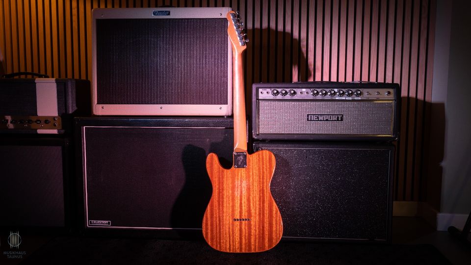 Fender Thinline Telecaster 1968 Original ehemals Rick Nielsen in Bad Homburg