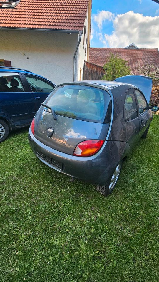 Ford KA * 2008 * Leder * Lufthansa * in Marktoberdorf