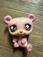 Littlest Pet Shop Panda Bär rosa 899 Bad Doberan - Landkreis - Dummerstorf Vorschau