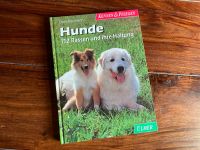 Buch - Hunde 112 Rassen und ihre Haltung - Sachbuch Bayern - Augsburg Vorschau