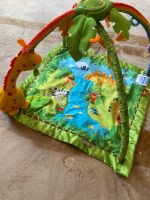 Fisher Price Spieldecke Sachsen-Anhalt - Wenze Vorschau