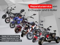 E Chopper E Roller E Motorad E Scooter Reparatur Vor Ort Bielefeld - Brackwede Vorschau