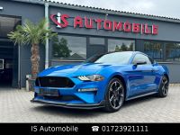 Ford Mustang 5.0 Ti-VCT V8 GT *Schaltgetriebe*Kamera* Bayern - Zirndorf Vorschau
