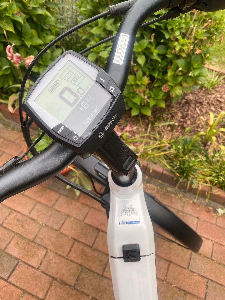 E-Bike Kettler Quadriga in Syke