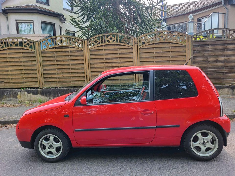 VW Lupo 1.4 75 PS Rot manuell in Brühl