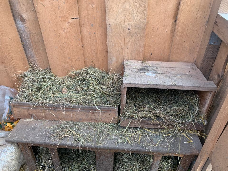 Hühner Enten Geflügel Stall Holzkisten Legekisten in Attendorn