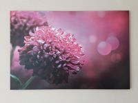 Schönes Bild Blume magenta Holzleinwand 116x77cm Bayern - Dietmannsried Vorschau