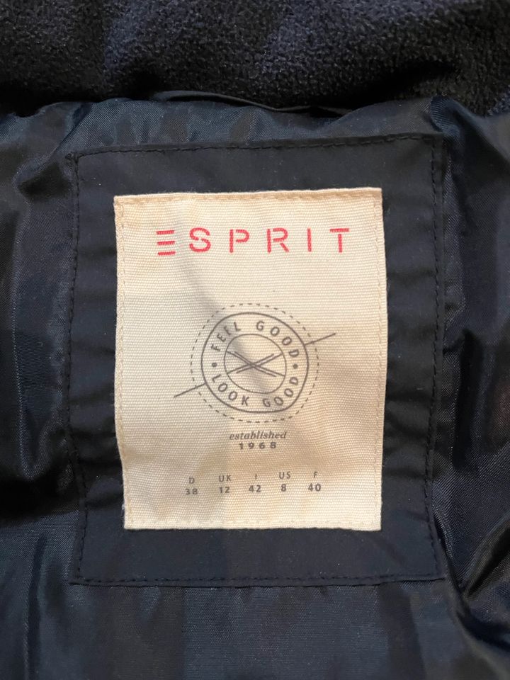 Esprit Winterjacke Größe 38 in Egeln