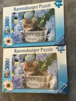 Katzen Puzzle NEU 2 vorhanden ab 9 Jahre RAVENSBURGER Rheinland-Pfalz - Landau in der Pfalz Vorschau