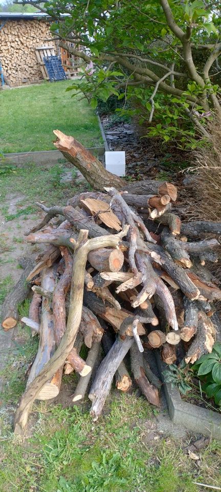 Brennholz Eiche und Kiefer trocken Astware 5-12 cm Durchmesser in Thale
