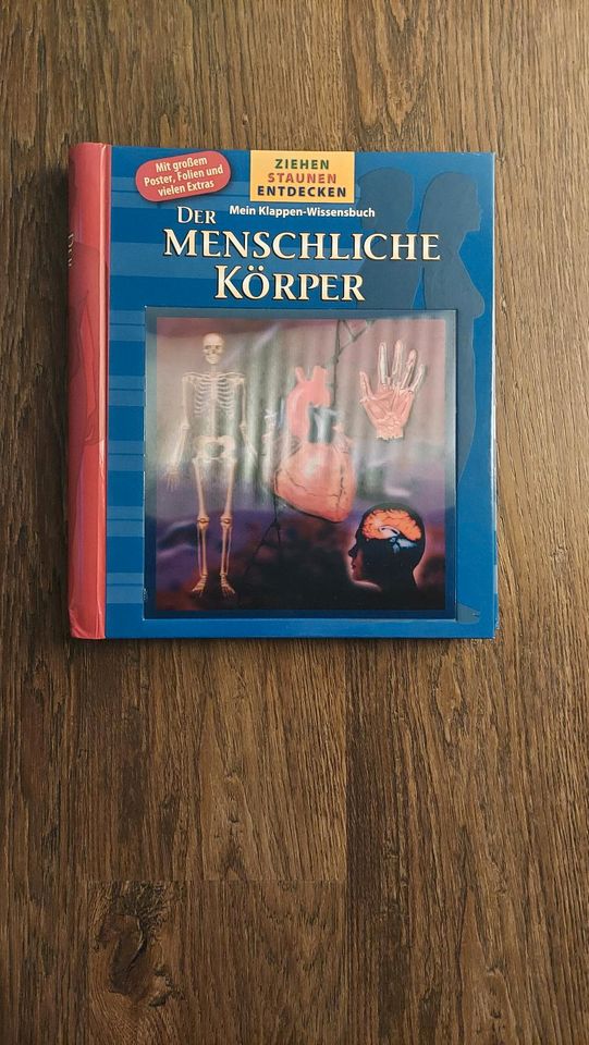 Der Menschliche Körper - Wissensbuch Ziehen, Staunen, Entdecken in Berlin