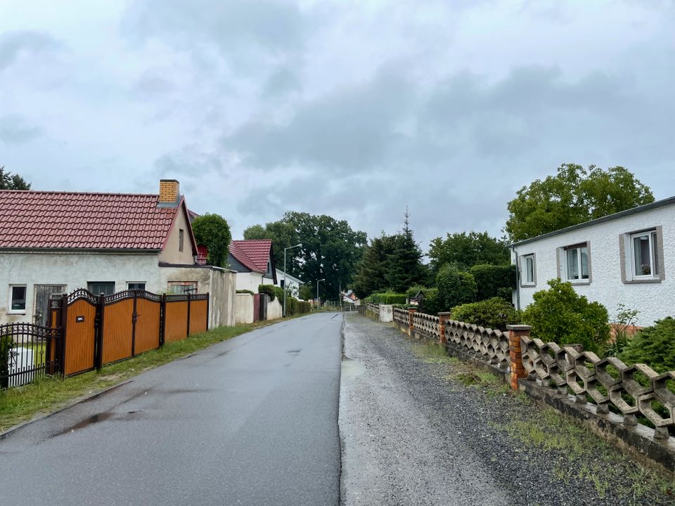 Ihr Bauplatz sobald das Haus abgerissen wurde. Schönes Grundstück am Grünewalder Lauch / Lauchhammer in Lauchhammer