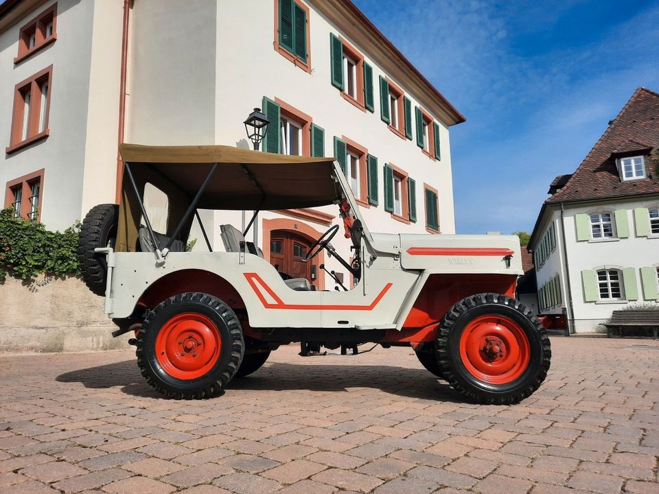 Jeep Willys/ H-Zulassung/Schweizer Fahrzeug in Emmendingen