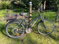 D Damenfahrrad Bastel Fahrrad 26 Zoll Häfen - Bremerhaven Vorschau