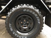 245/75R16 120 / 116 Q Goodride SL366 4X4 Dotz G-Klasse M+S Niedersachsen - Berge Vorschau